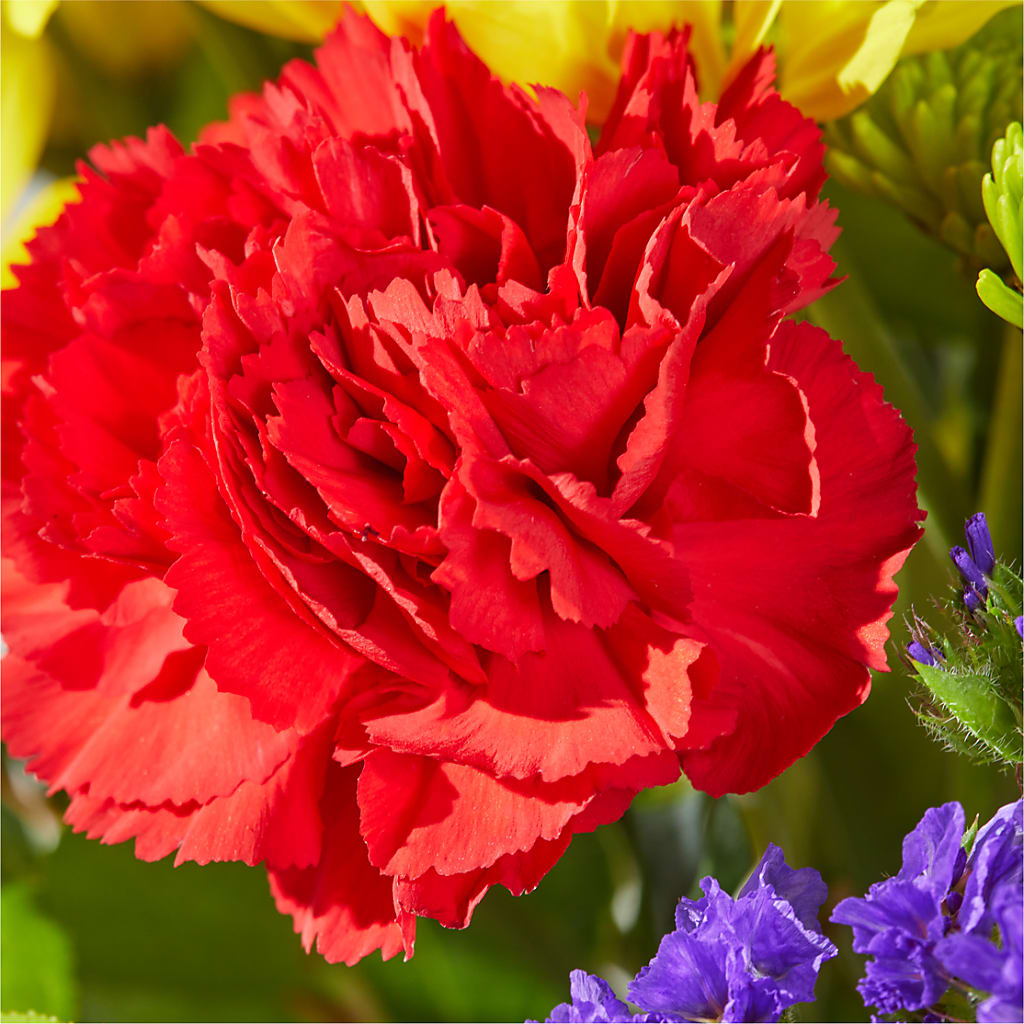 Brighter Days Bouquet –  Katarina Floral, Hackettstown NJ