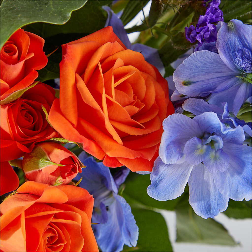 Radiant Citrus Bouquet –  Katarina Floral, Hackettstown NJ