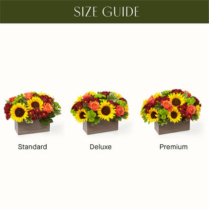 Happy Harvest Garden –  Katarina Floral, Hackettstown NJ