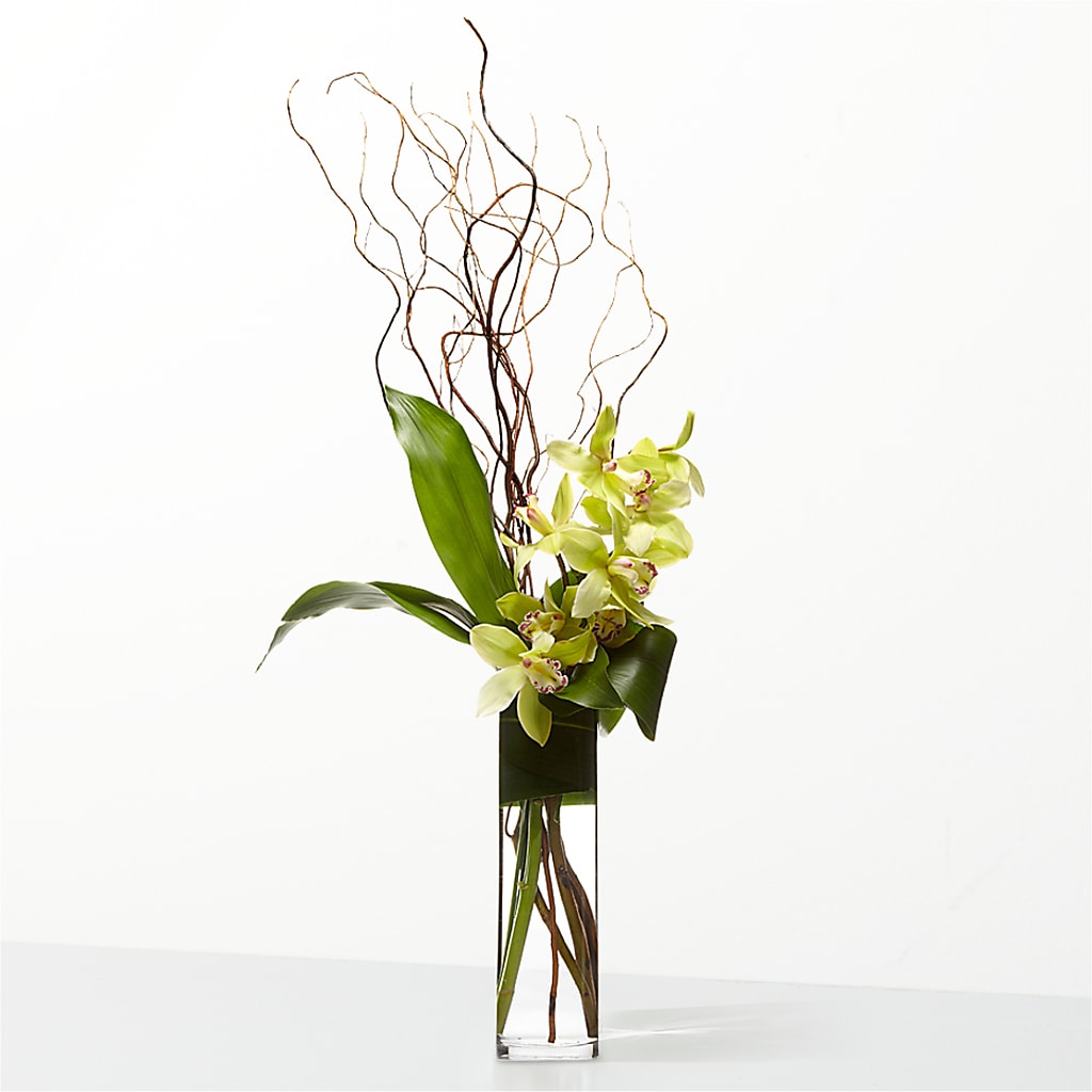 The Statement –  Katarina Floral, Hackettstown NJ