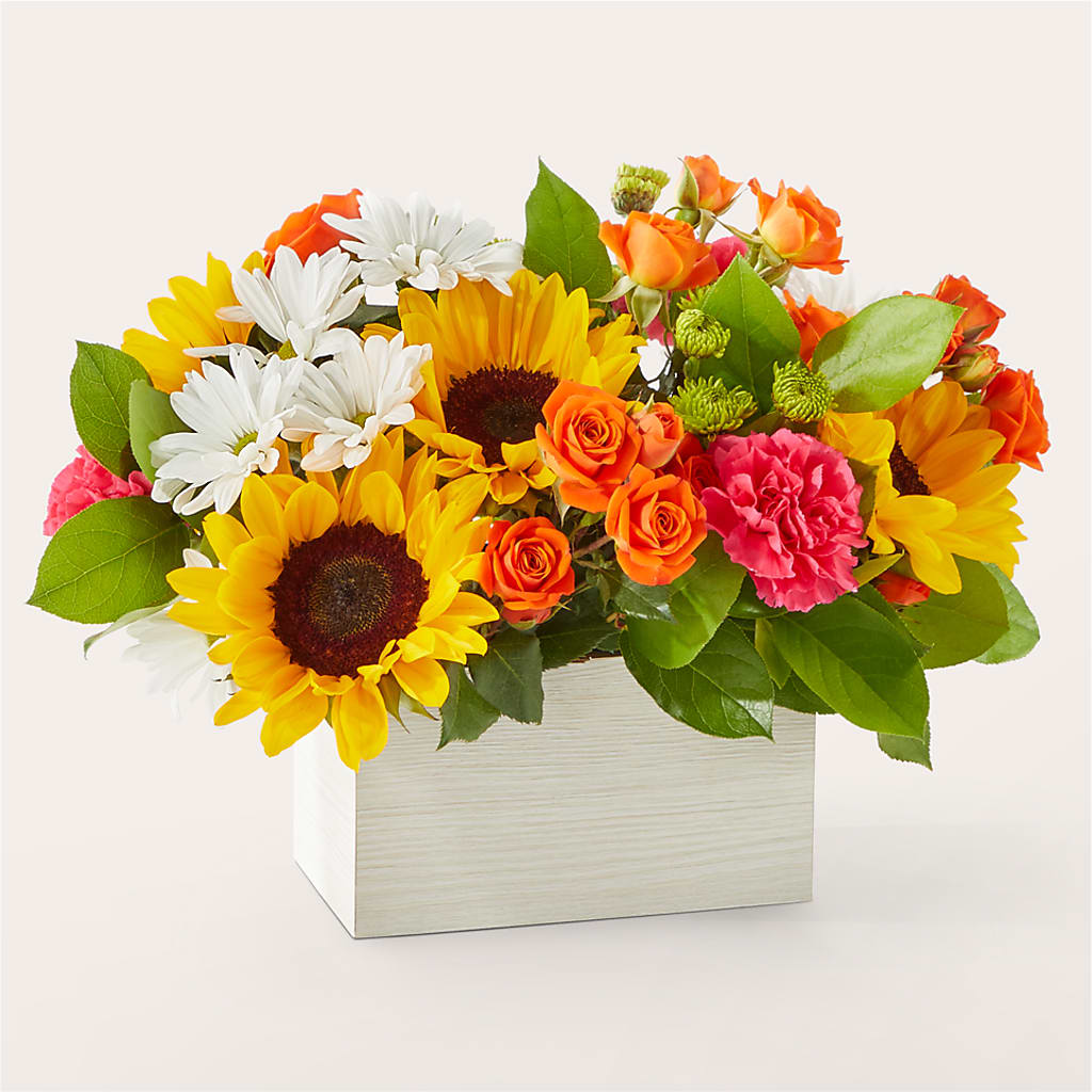 Sun-drenched Blooms Box Bouquet –  Katarina Floral, Hackettstown NJ