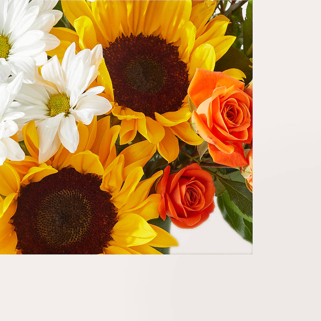 Sun-drenched Blooms Box Bouquet –  Katarina Floral, Hackettstown NJ