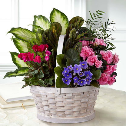 Peaceful Garden Planter –  Katarina Floral, Hackettstown NJ