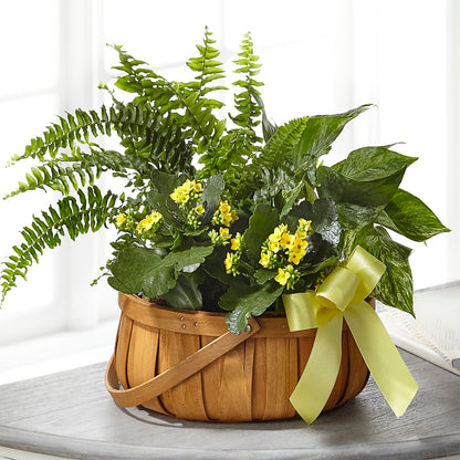 Always Dear Dishgarden –  Katarina Floral, Hackettstown NJ