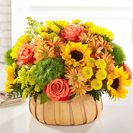 Harvest Sunflower Basket –  Katarina Floral, Hackettstown NJ