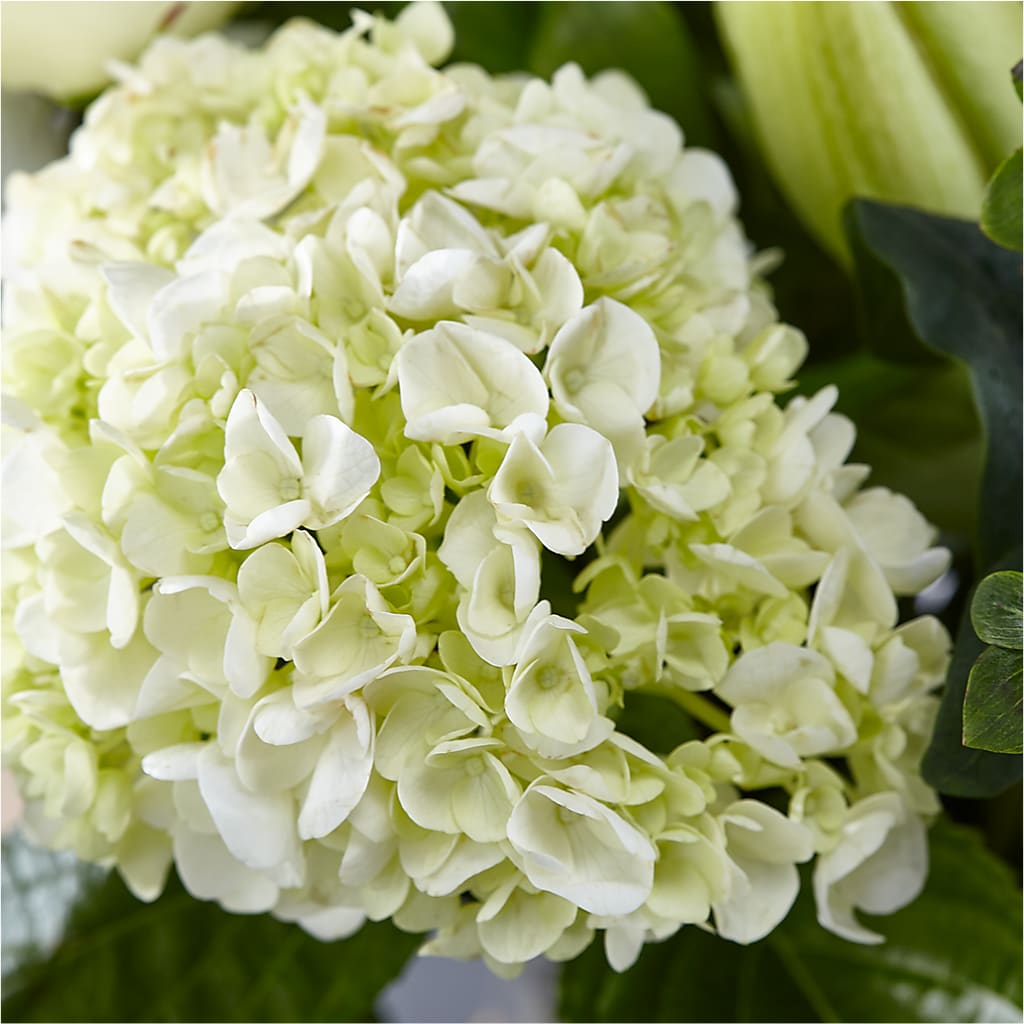 Classic Ivory – A Florist Original –  Katarina Floral, Hackettstown NJ