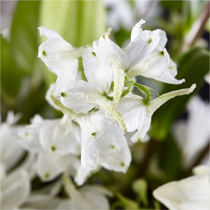 Classic Ivory – A Florist Original –  Katarina Floral, Hackettstown NJ