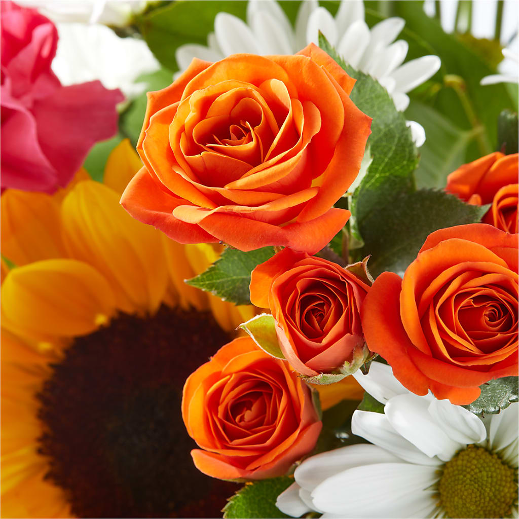 Sun-drenched Blooms Bouquet –  Katarina Floral, Hackettstown NJ