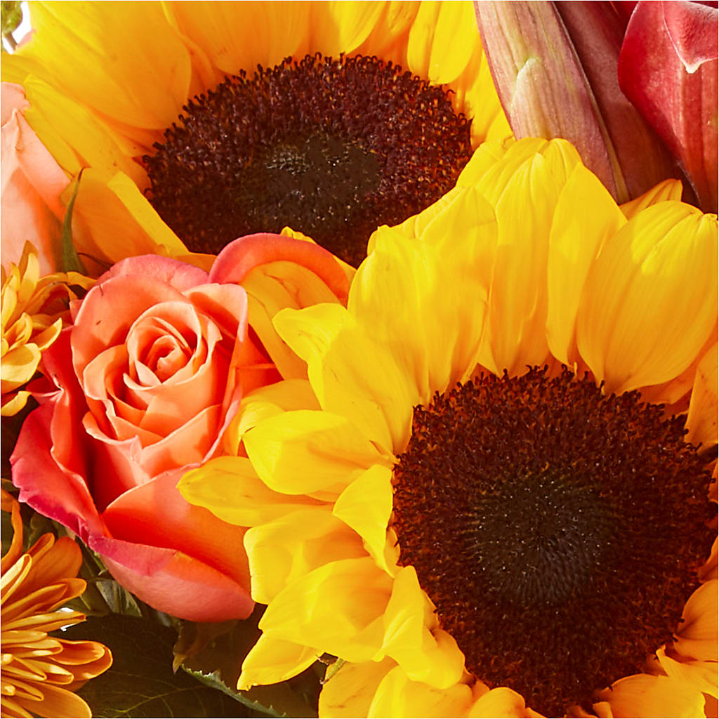 Acorn Lane Bouquet –  Katarina Floral, Hackettstown NJ