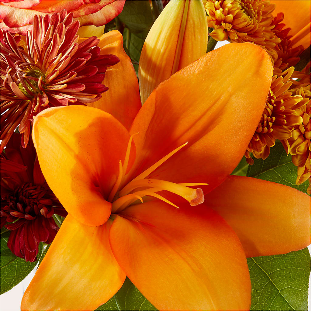 Autumnal Aroma Bouquet –  Katarina Floral, Hackettstown NJ