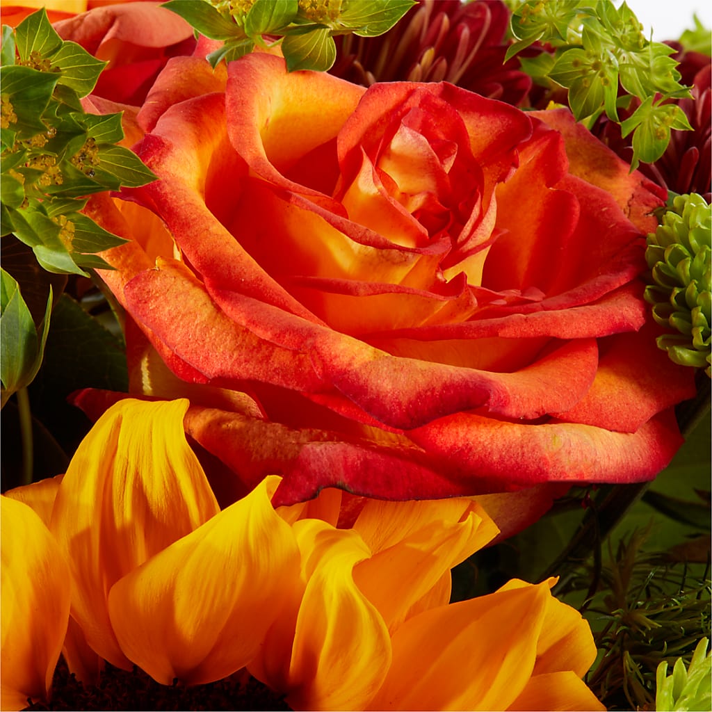 Harvest Festival Bouquet –  Katarina Floral, Hackettstown NJ