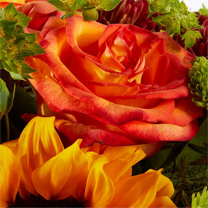 Harvest Festival Bouquet –  Katarina Floral, Hackettstown NJ