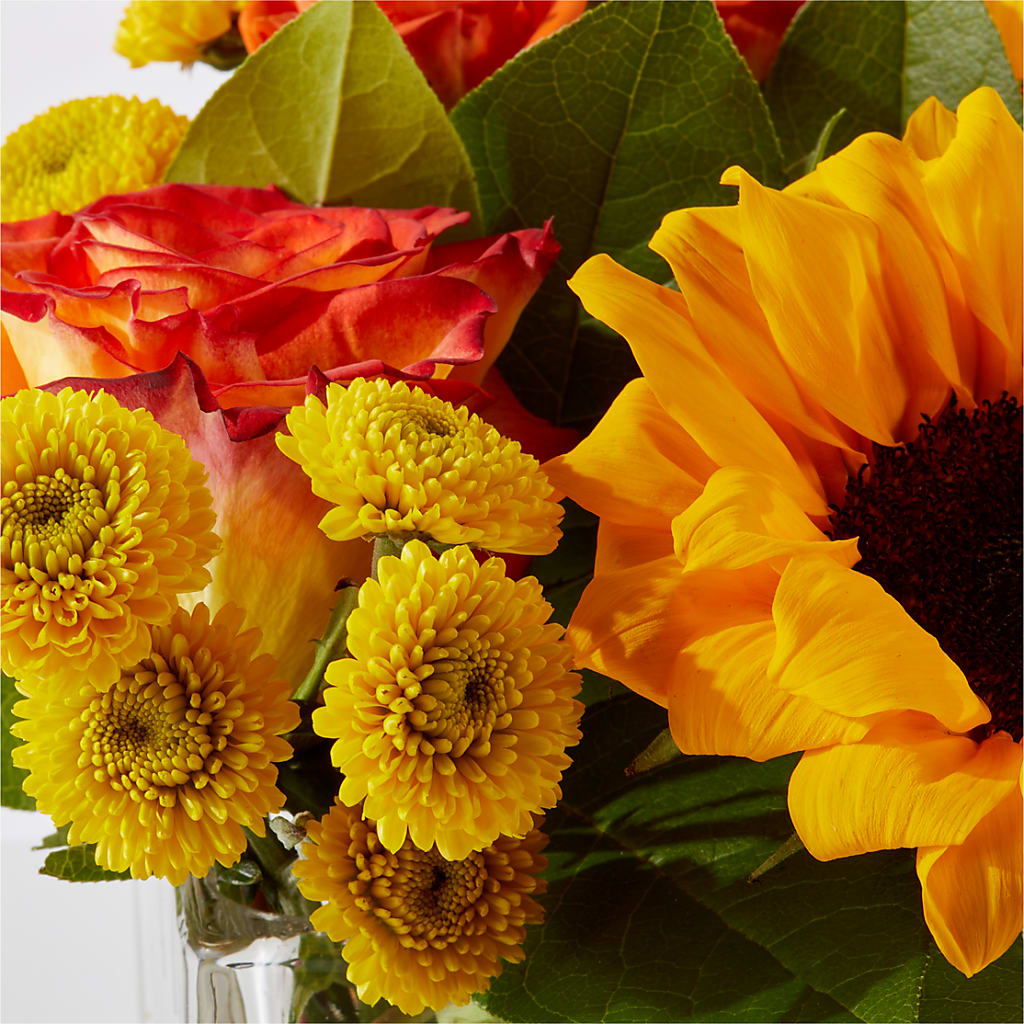 Picnic in the Park Bouquet –  Katarina Floral, Hackettstown NJ