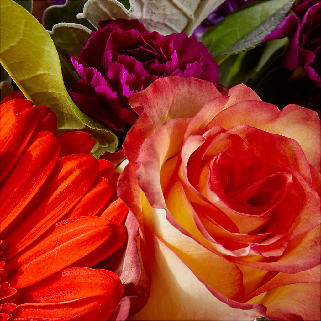 Sangria Bouquet –  Katarina Floral, Hackettstown NJ
