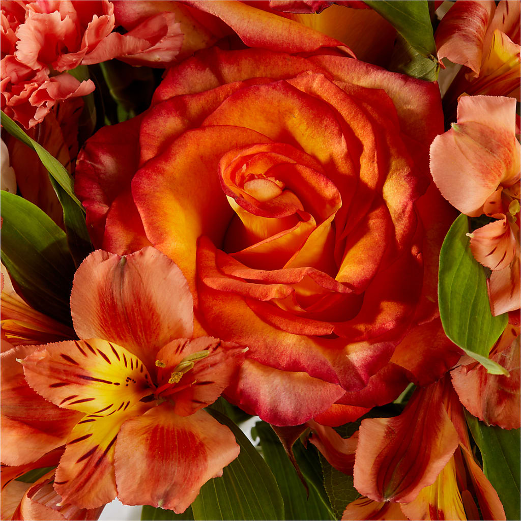 Apricot Glow Bouquet –  Katarina Floral, Hackettstown NJ