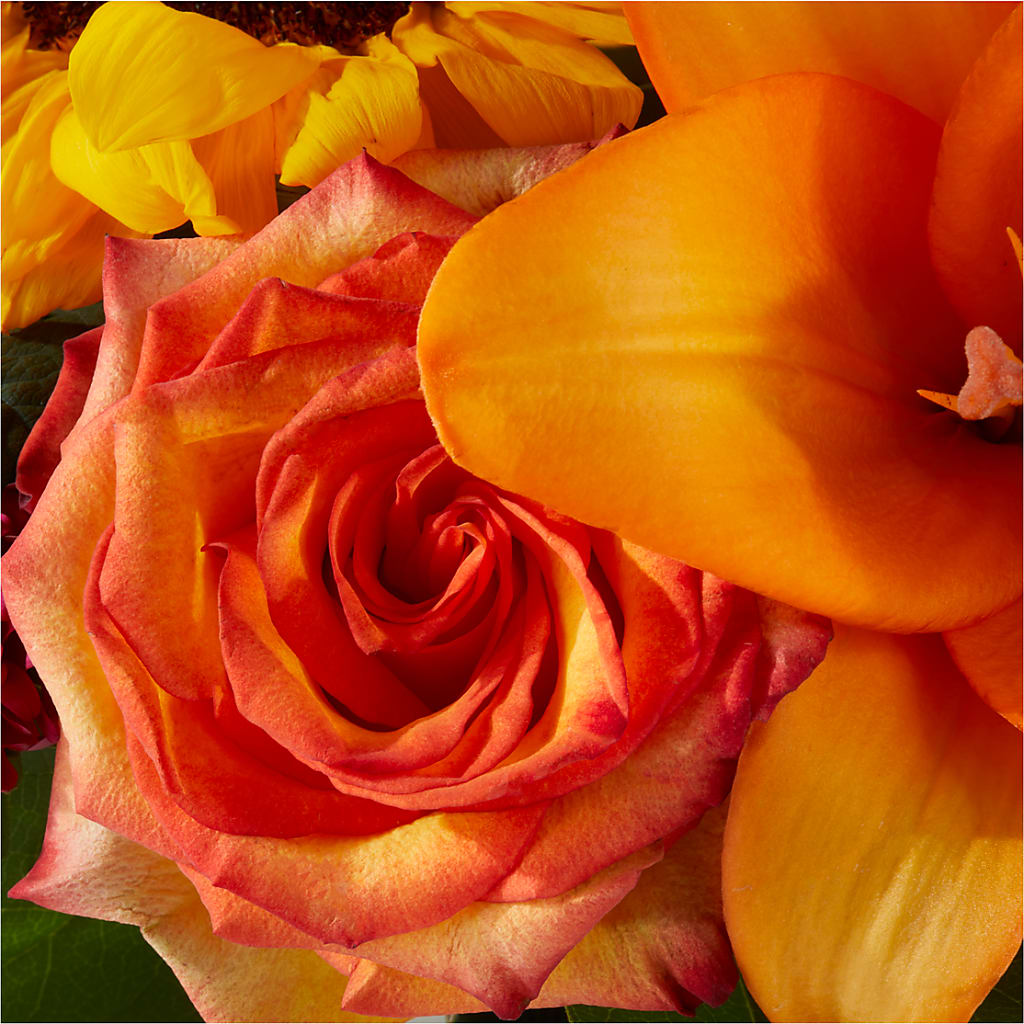Grateful Centerpiece –  Katarina Floral, Hackettstown NJ