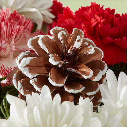 Candy Cane Lane Bouquet –  Katarina Floral, Hackettstown NJ