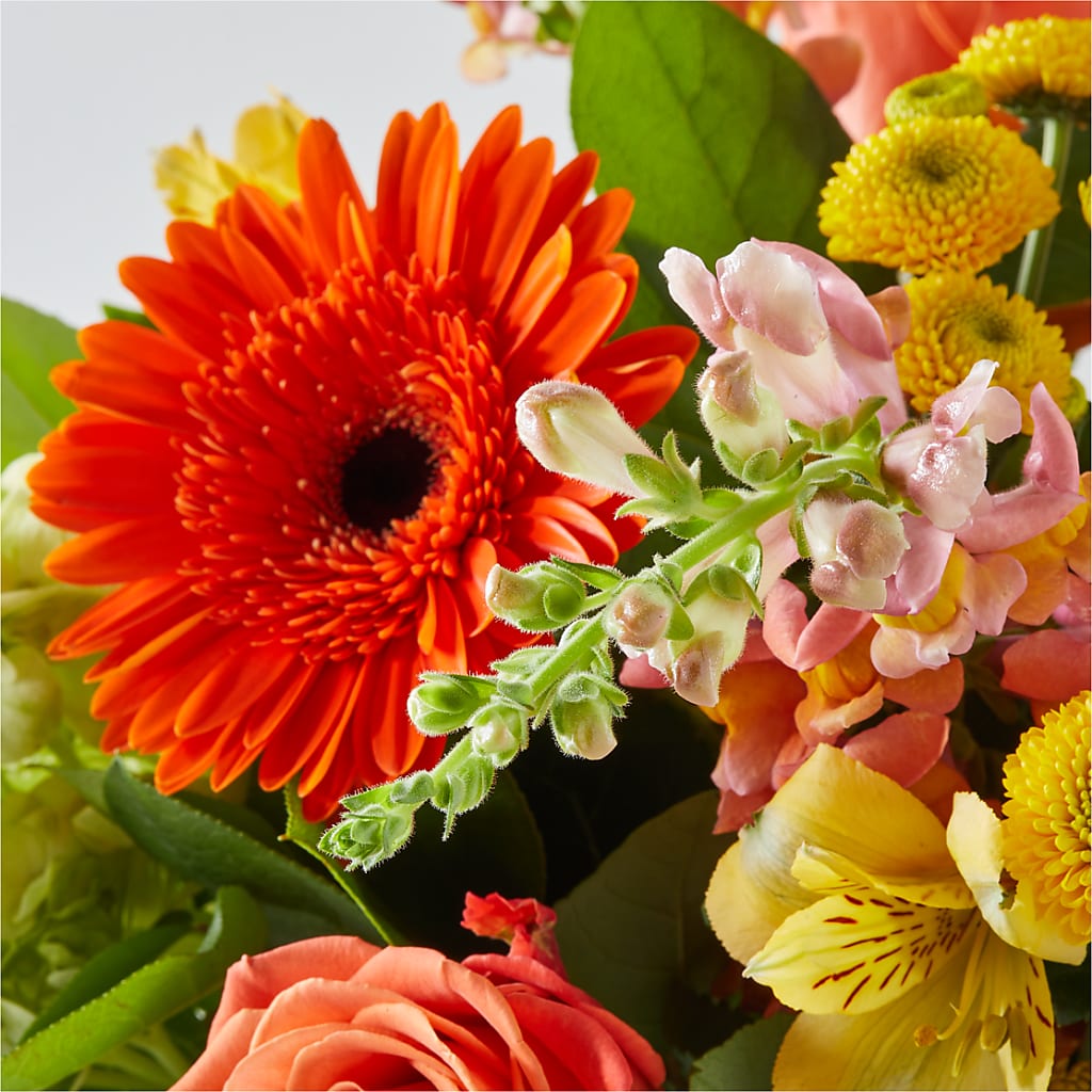 Autumn Sunshine Bouquet –  Katarina Floral, Hackettstown NJ