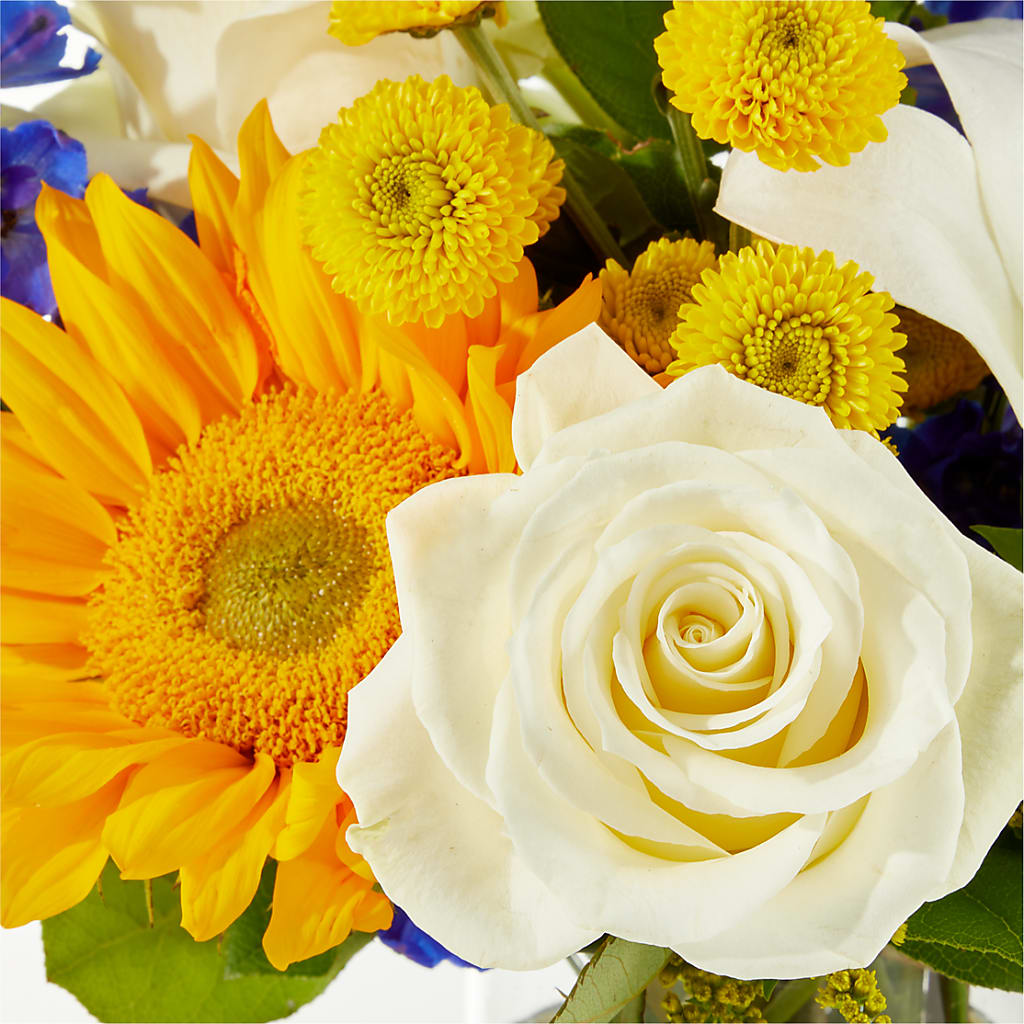 Stargazing Bouquet –  Katarina Floral, Hackettstown NJ