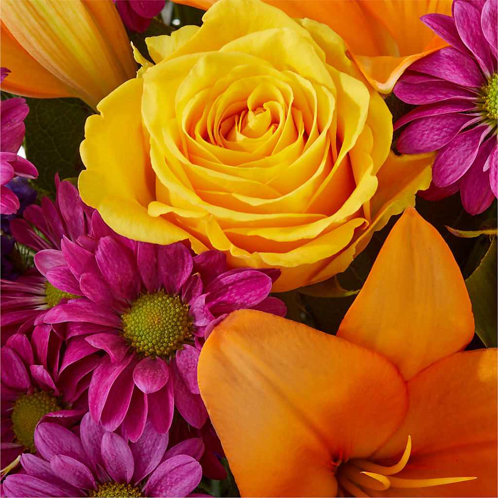 Colorful Visions Bouquet –  Katarina Floral, Hackettstown NJ