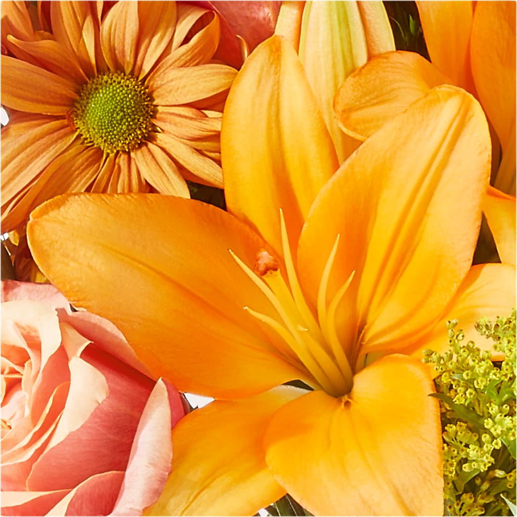 Harvest Hayride Bouquet –  Katarina Floral, Hackettstown NJ