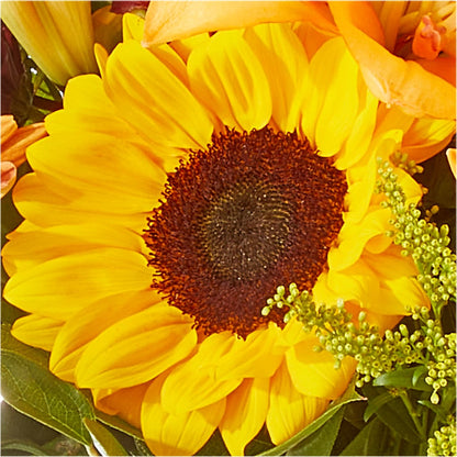 Seasons Change Bouquet –  Katarina Floral, Hackettstown NJ