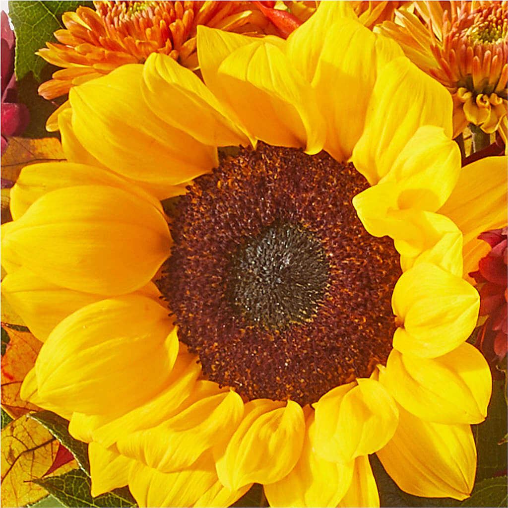 Sunny Side Bouquet –  Katarina Floral, Hackettstown NJ