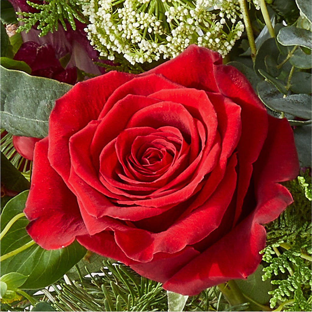 Cranberry Fizz Bouquet –  Katarina Floral, Hackettstown NJ