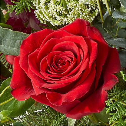 Cranberry Fizz Bouquet –  Katarina Floral, Hackettstown NJ