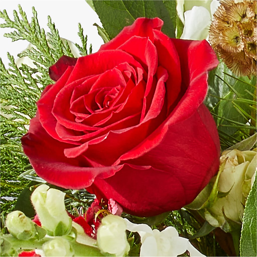 Deck the Halls Bouquet –  Katarina Floral, Hackettstown NJ
