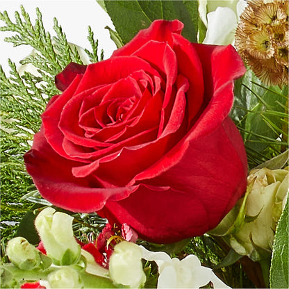 Deck the Halls Bouquet –  Katarina Floral, Hackettstown NJ