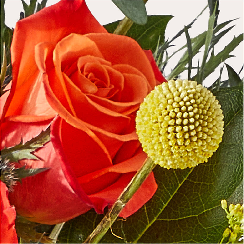 Disco Bouquet –  Katarina Floral, Hackettstown NJ