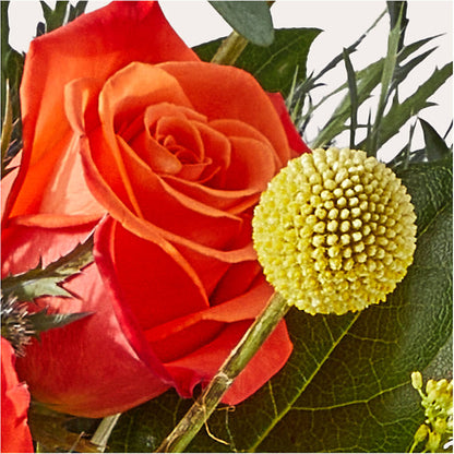 Disco Bouquet –  Katarina Floral, Hackettstown NJ