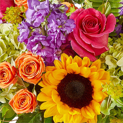 Vibrant Greetings Bouquet –  Katarina Floral, Hackettstown NJ