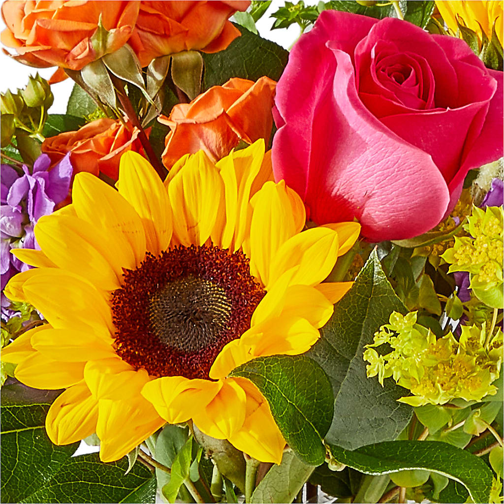 Vibrant Greetings Bouquet –  Katarina Floral, Hackettstown NJ