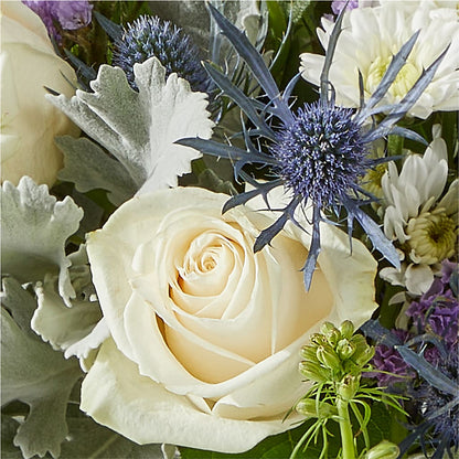 Shooting Star Bouquet –  Katarina Floral, Hackettstown NJ