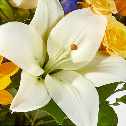 Wonderfully Sunny Bouquet –  Katarina Floral, Hackettstown NJ