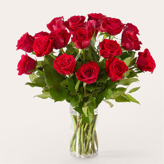 The One Red Rose Bouquet –  Katarina Floral, Hackettstown NJ