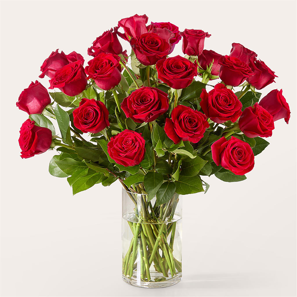The One Red Rose Bouquet –  Katarina Floral, Hackettstown NJ