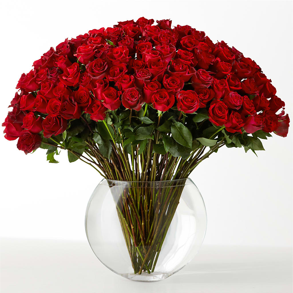 The Idealist –  Katarina Floral, Hackettstown NJ