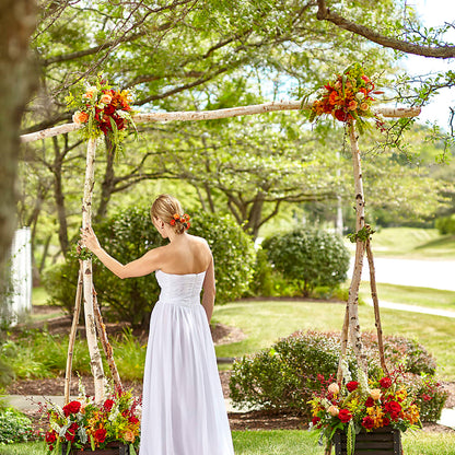 Arbor of Love Archway –  Katarina Floral, Hackettstown NJ