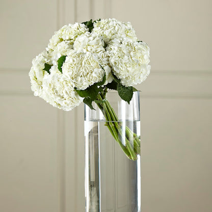 White Hydrangea Hand-Tied Bouquet –  Katarina Floral, Hackettstown NJ