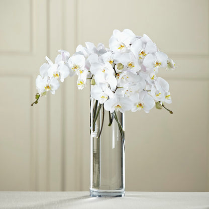 White Phalaenopsis Bouquet –  Katarina Floral, Hackettstown NJ