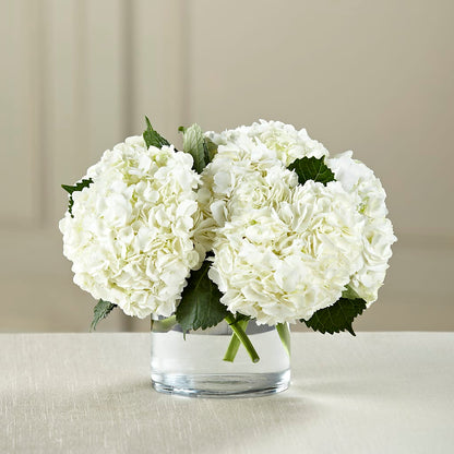 White Hydrangea Bouquet –  Katarina Floral, Hackettstown NJ